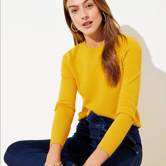 LOFT Sweaters - Loft Stitchy Sweater in Saffron Spice
